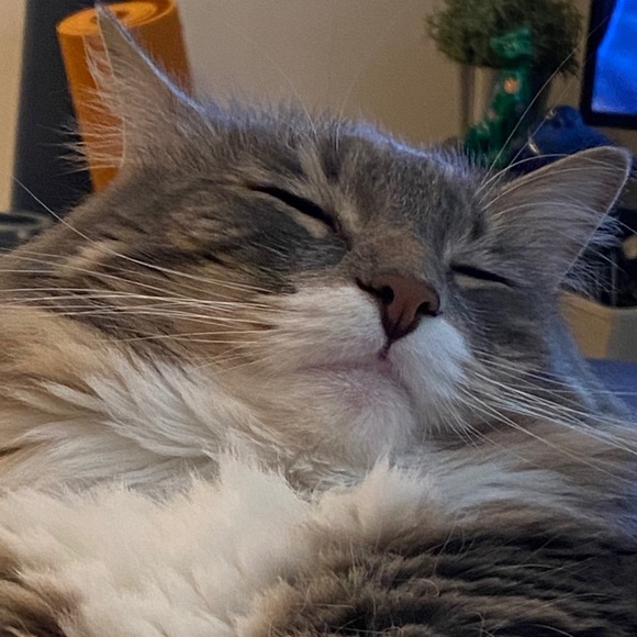 Meet your Posher, Christine - Picture 1 of 1